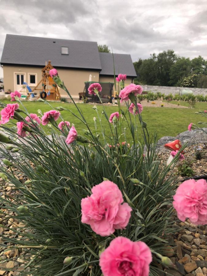 Tir Na Spideoga Villa Ennis Buitenkant foto