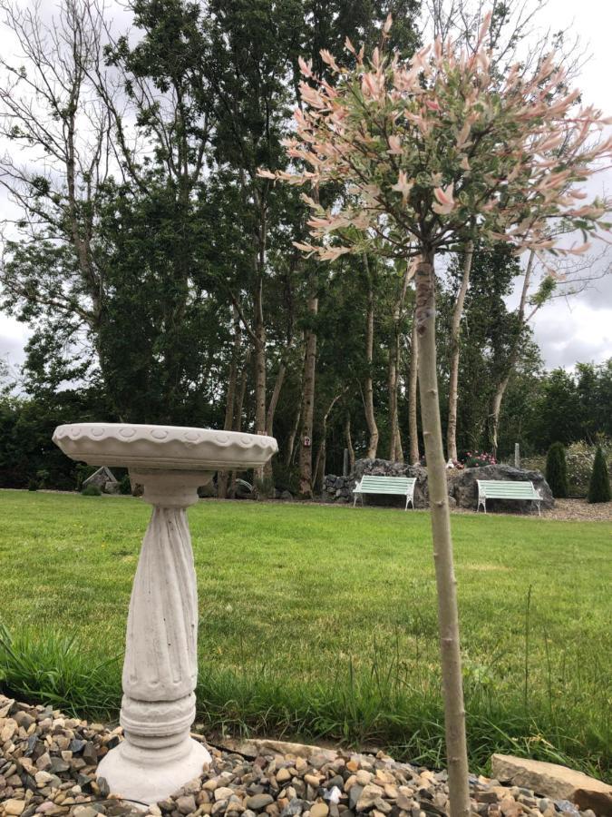 Tir Na Spideoga Villa Ennis Buitenkant foto
